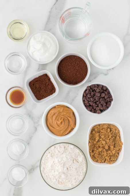 Decadent Peanut Butter Chocolate Pudding Cake 4 All ingredients for Chocolate Peanut Butter Pudding Cake laid out
