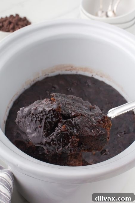 Decadent Peanut Butter Chocolate Pudding Cake 7 Scoops of chocolate peanut butter pudding cake with ice cream