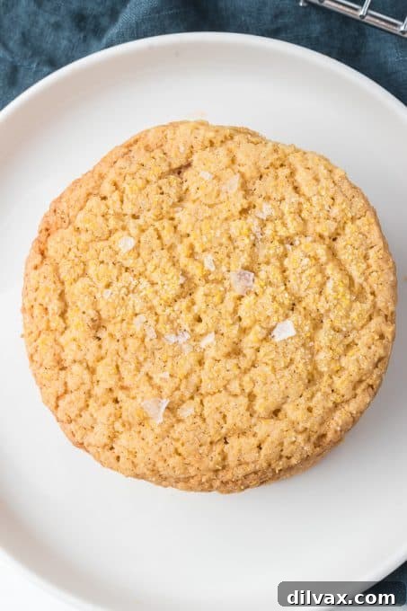 A single perfectly baked Cornmeal Cookie on a white plate, highlighting its texture and golden edges.