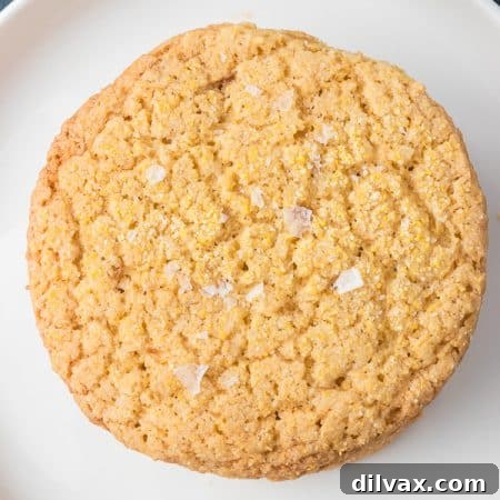 A single Cornmeal Cookie on a plate.