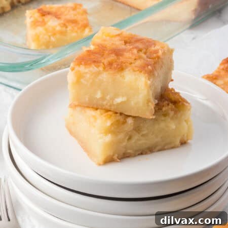 Hawaiian Butter Mochi Recipe