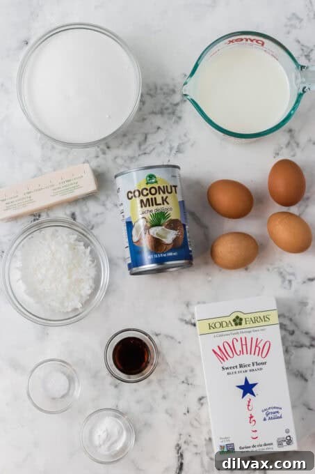 Ingredients for Butter Mochi recipe arranged on a surface, including Mochiko flour, coconut milk, and eggs.