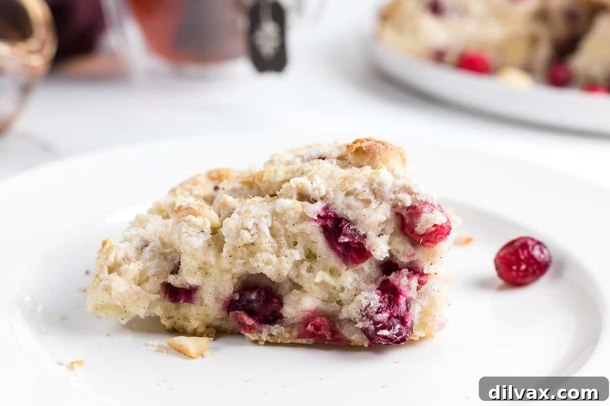 Perfectly baked Cranberry Macadamia Scones on a cooling rack, ready to be served.