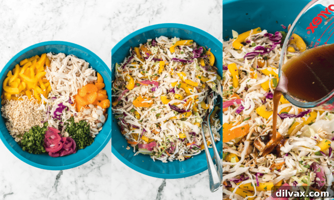 Process photos for making a chicken Chinese salad.