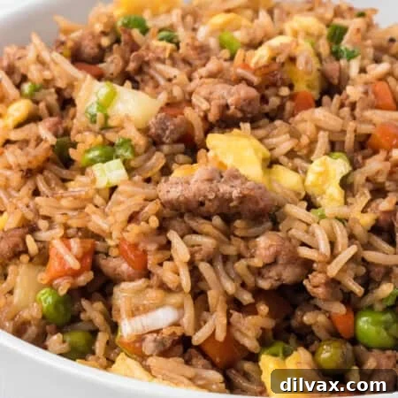 Pork Fried Rice Recipe