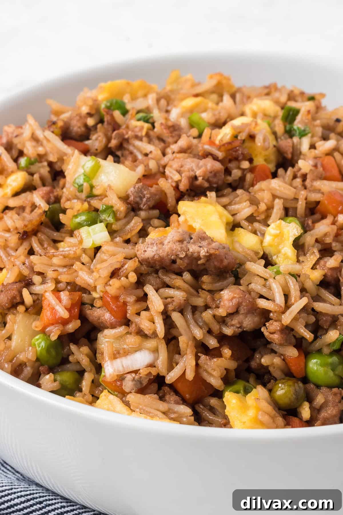 Pork Fried Rice Recipe