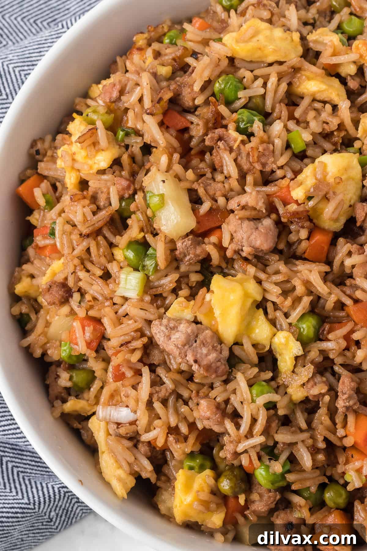 Pork Fried Rice Recipe